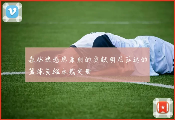 森林狼感恩康利的贡献明尼苏达的篮球英雄永载史册